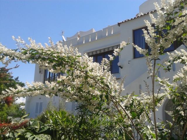 Hotel Parco Conte Casamicciola Terme Exterior photo